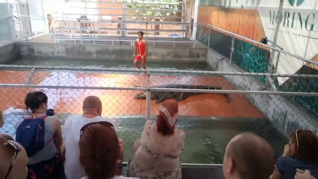 Vietnam-2019. Шоу с крокодилом. смотреть онлайн