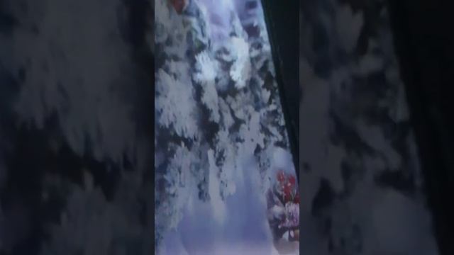 Установка Twrp+Рут,на Samsung Galaxy M21(Android11)!