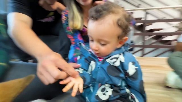 ¡MI HIJO ELIGE SU PRIMER MASCOTA ! смотреть онлайн