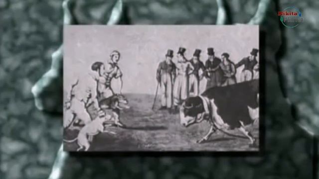 Доберман . Полное Описание Породы . Doberman. Full Breed Description