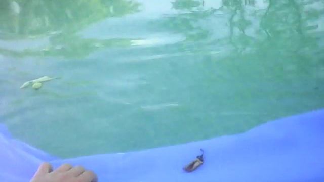 (моё горе) Пробитый бассейн