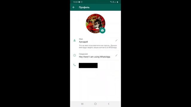 Настройки WhatsApp смотреть онлайн