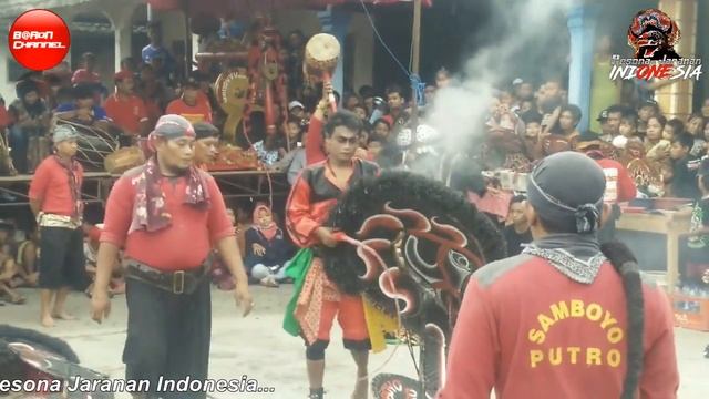 Jaranan Samboyo Putro Terbaru Live Pandanarum Full Siang || Traditional Dance Of Java смотреть онлайн