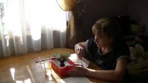 Как легко добыть семена из шишек сосны