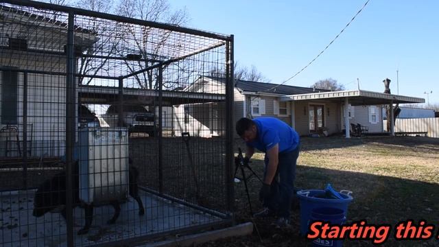 The best way to clean your dog Kennel out in 5 minutes смотреть онлайн