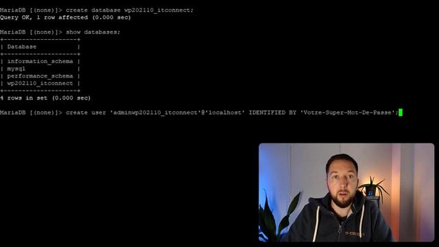 Installer WordPress sur son serveur Linux en partant de zéro смотреть онлайн