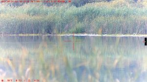 Прицел Wanney, день,100 метров.