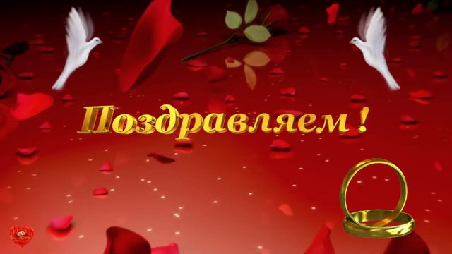 Футаж Обручальные кольца с голубями смотреть онлайн