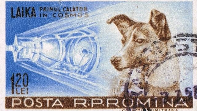 А ВЫ знали? Первый космонавт - ЧТО с ним случилось? Полет собаки Лайка на Спутнике 2 смотреть онлайн