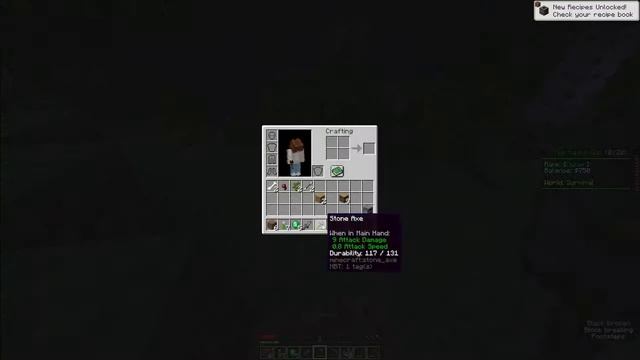 NEW Minecraft JAVA & BEDROCK COMPATIBLE SMP SERVER!! | Beta Launch смотреть онлайн