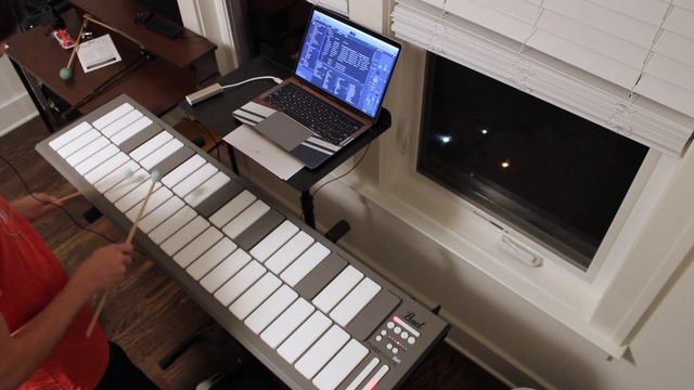 Porgy and Bess (Xylo Solo) malletSTATION Synth Edition! смотреть онлайн