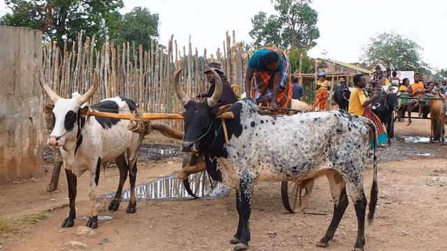 Путешествие на Мадагаскар