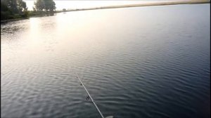 Спиннинг GAD FAIR 7 36 ТЕСТ