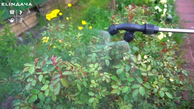 Аккумуляторный опрыскиватель. Живой отзыв садовода со стажем. смотреть онлайн