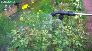 Аккумуляторный опрыскиватель. Живой отзыв садовода со стажем.