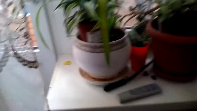 обожаю цветы это на кухне 07.07.2014 смотреть онлайн