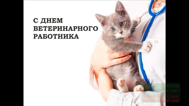 ДЕНЬ ВЕТЕРИНАРА 2023! смотреть онлайн