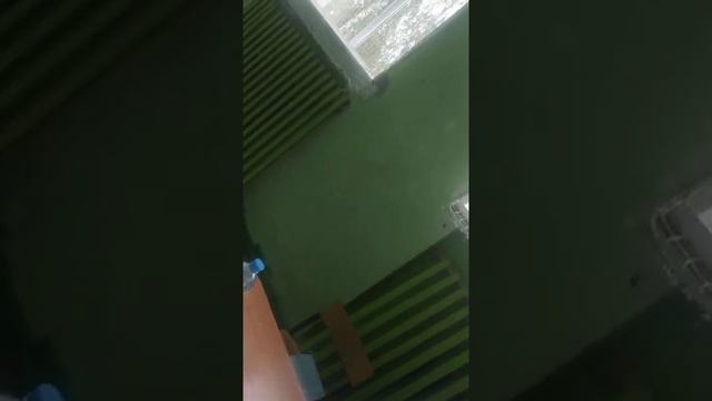 Рязанская область избирательный участок Высокое! смотреть онлайн