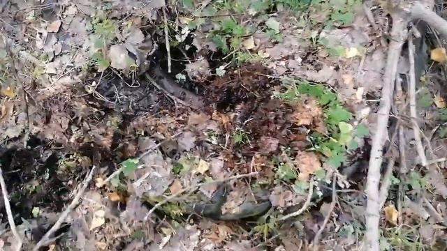 Металл есть, что за раз и не вывести. смотреть онлайн