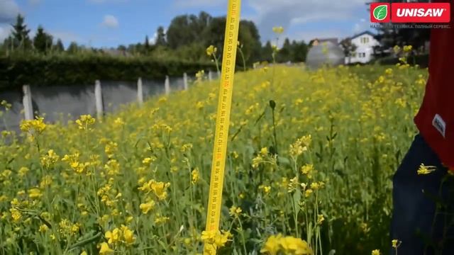 Caiman Athena 60S Бензиновая косилка для высокой травы смотреть онлайн