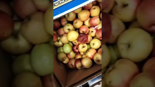 Утилизация продуктов в торговых центрах @MetroCCruна миллионы рублей. смотреть онлайн