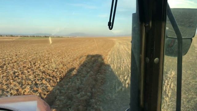 7li çizelle anız sürüyoruz! Massey Ferguson 5709M-Özduman Çizel #masseyferguson5709m#çizel #vlog19 смотреть онлайн