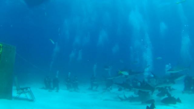 Gabe's Underwater Adventures смотреть онлайн