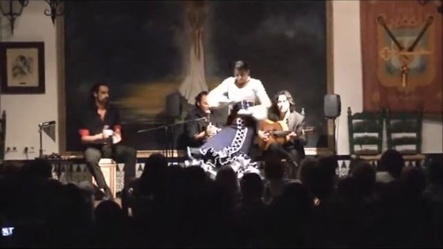 Irene Cruz Flamenco.wmv смотреть онлайн
