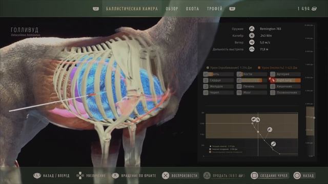 Way of the Hunter / Добудьте Голливуда, Чернохвостого Оленя с диффектом рогов смотреть онлайн