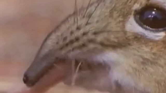 take a closer look at that smams смотреть онлайн