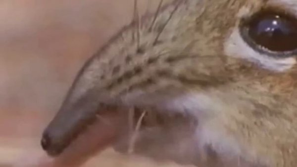 take a closer look at that smams