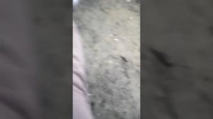Играем в войнушку на улице