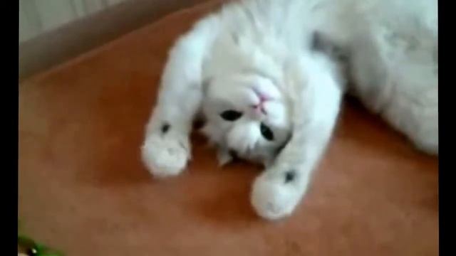 Давай поднимем ручки... смотреть онлайн