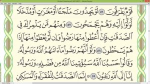 Шейх Айман Сувейд сура Ат Тауба 196