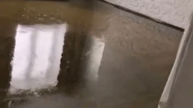 Грунтование и укрепление основания смотреть онлайн