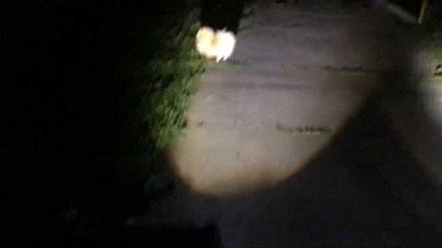 Сравнение фар на Kugoo G-booster смотреть онлайн