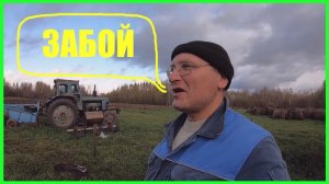 Забой свиней вьетнамской породы .Сколько мяса ,сала?