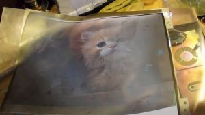 Какую роль играет пленка поляризатор на ЖК мониторе или телевизоре LCD.