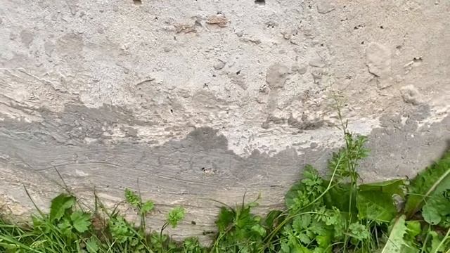 грязная вода в колодце, ремонтируем своим руками смотреть онлайн