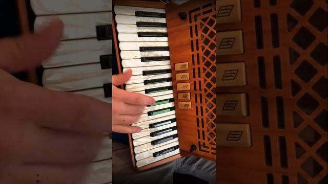 The Bag of Spuds - Irish Reel on Piano Accordion смотреть онлайн