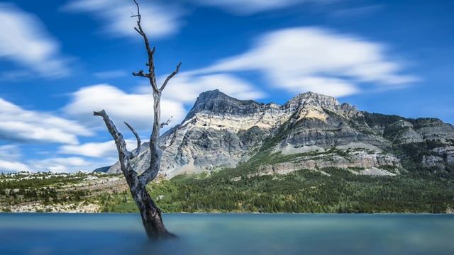 Mustafa Avşaroğlu. Speechless смотреть онлайн