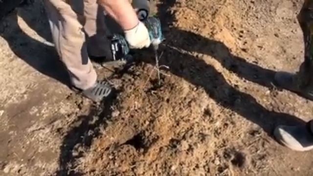 Посада картошки с помощью шуруповерта смотреть онлайн