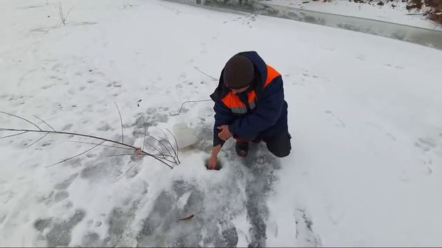 Ловим Живца На Налима смотреть онлайн
