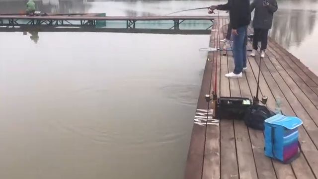 Здравствуйте друзья, и вновь поклевочка форельки на ВИП-ЗОНЕ. смотреть онлайн