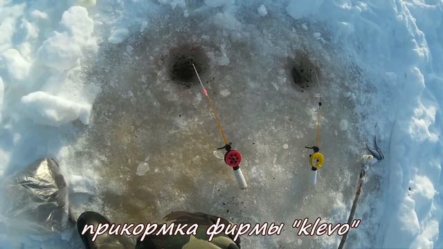 Встреча с лосем и зимняя рыбалка. Тест универсальной прикормки фирмы KLEVO! смотреть онлайн