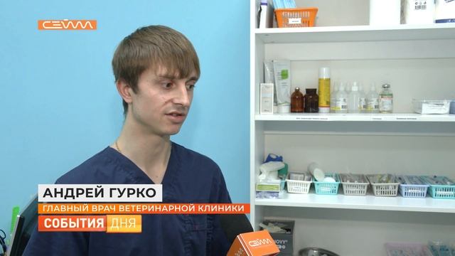 Кот Борис стал почётным донором ветеринарной клиники смотреть онлайн