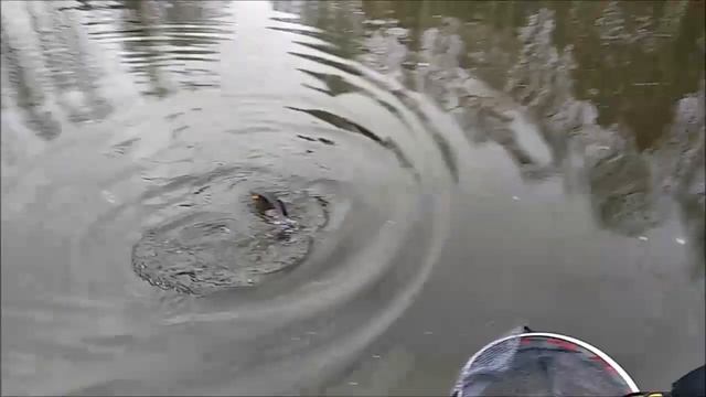 Крымский ловит, а переходной лучше... Клёвое место. смотреть онлайн