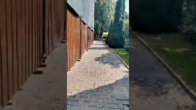 Эфир из Новосспаского монастыря Усыпальница Романовых смотреть онлайн