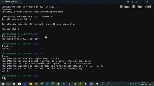 Atualizando npm com nvm no Windows 10 - Explicação detalhada do erro e como resolver смотреть онлайн