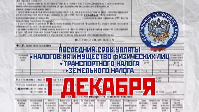 1 декабря – последний день уплаты имущественных налогов. смотреть онлайн